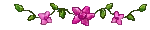 page divider